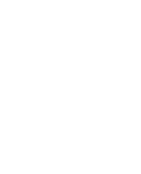 Meet the Experts